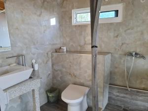 a bathroom with a toilet and a sink and a shower at Manas Rooms in Dhërmi
