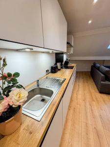 a kitchen with a sink on a counter with a couch at Chic & Modern 1BR & 1LR Apt, 12 Min Walk to Rabot in Ghent