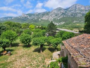 Saint-Jean-de-BuègesにあるLes mûriers de Roseの山を背景にした村の景色