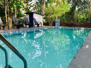 Piscina di Nature World Jungle Paradise o nelle vicinanze
