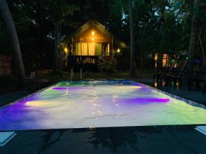 Piscina di Nature World Jungle Paradise o nelle vicinanze