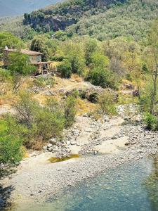 a house on a hill next to a river at A Casetta d’Hélène et Jeanette in Omessa