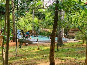 Piscina di Nature World Jungle Paradise o nelle vicinanze