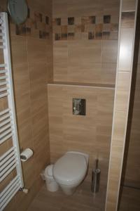 een kleine badkamer met een toilet in een kamer bij Malomkő Apartman in Zsira