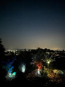 a view of a garden at night with lights at Kleine Perle mit Bodenseeblick und Sonnenterrasse in Daisendorf