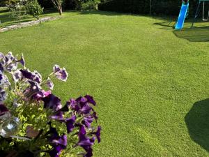 Zahrada ubytování Ferienwohnung Sonnenseite Brienz