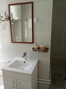 Galeriebild der Unterkunft Apartments M- Center in Sokobanja