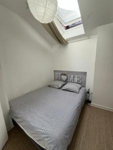 a bedroom with a bed with a skylight at Grand studio rdc au calme, centre ville prox Cathédrale in Orléans
