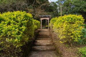 a set of stairs in a garden with bushes at Cotan Ecolodge in La Esperanza