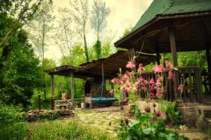 Vườn quanh Casuta din Padure
