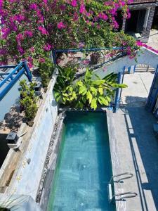 A piscina em ou perto de Lazy Bear Villa By The Little Hoi An