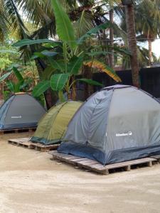 Φωτογραφία από το άλμπουμ του Cabañas y zona de camping Elis Johana σε Covenas +21 φωτογραφίες