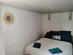 a bedroom with a bed with a mirror on the wall at Gites Torreillans - Nid douillet - Gite bleu in Torreilles