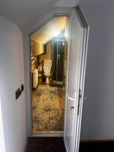 a bathroom with a toilet and a glass door at Casa Veverita in Predeluţ +47 photos