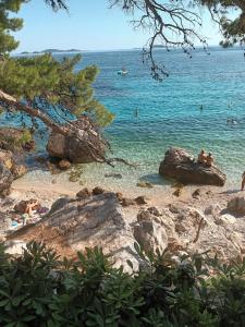 Gallery image of Apartment Luka near Dubrovnik in Čibača