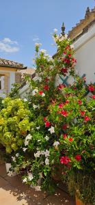 隆达Apartamentos Los Descalzos Ángel With Private Terrace Free Parking的建筑物边的一组花 更多37张照片