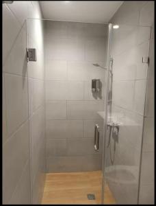 a shower with a glass door in a bathroom at Central Park Down Town F2 in Punta Cana
