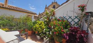 隆达Apartamentos Los Descalzos Ángel With Private Terrace Free Parking的花盆花园,在建筑物的一侧