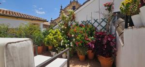 隆达Apartamentos Los Descalzos Ángel With Private Terrace Free Parking的建筑物边的一束鲜花