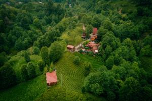 Fotografie z fotogalerie ubytování Elagza Dag Evi v destinaci Rize + 35 fotografií