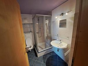a bathroom with a shower and a sink and a toilet at Villa-Musica "Das Harmonikahaus" Apartments, Harmonikabau und Seminare in Fieberbrunn +95 photos