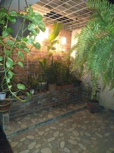 a bunch of plants in pots on a brick wall at Casa Lina in Montería