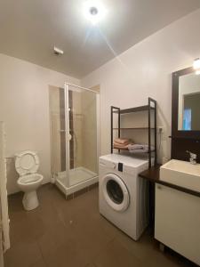 Un baño con lavadora y un inodoro. en Le Philibert Roux, en Auxerre 24 fotos más
