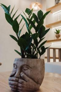 Zdjęcie z galerii obiektu Evexia boutique hotel & Spa w mieście Agia Marina Nea Kydonias