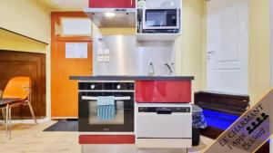 Splendide Appartement Barr - Route du Vins的厨房或小厨房