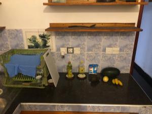 a toy kitchen with a counter top with a sink at TrincoBeCoolGuest & Hostel in Trincomalee