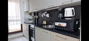 Køkken eller tekøkken på The Royal Central Escape near Palas Mall