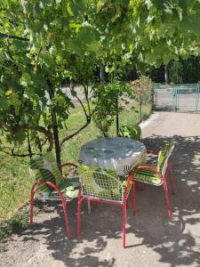 Zahrada ubytování Vila Spas