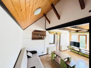 a living room with a couch and a tv at Cabana Lapina in Vatra Dornei