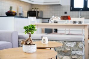 a potted plant sitting on a table in a living room at Prasonisi Villas in Kattavía