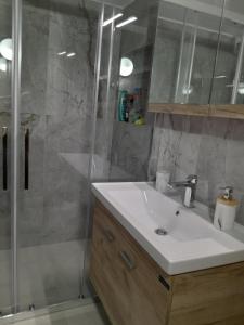 a bathroom with a sink and a shower at Ioli's apartment in Igoumenitsa
