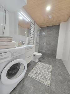 a bathroom with a washing machine and a toilet at Metsämansikan helmi in Espoo