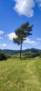 Príroda v okolí chaty v prírode