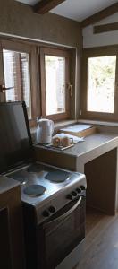 une cuisine avec une cuisinière et un évier et deux fenêtres dans l'établissement Jamm Mare e Monti Tiny house, à Orebić 36 autres photos