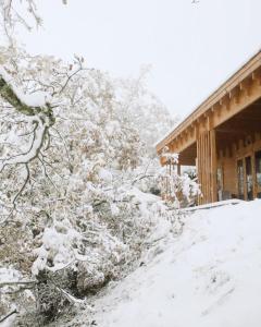 a snow covered tree in front of a house at SUNCHILL luxury treehouse in Saint-Antonin