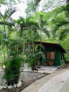 Vườn quanh Casa Hoja Eco-Cabina Surf House