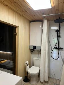 a bathroom with a white toilet and a shower at Līči in Alūksne +33 photos