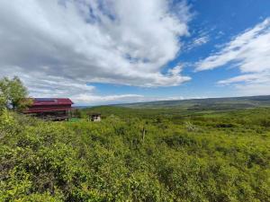 Ảnh trong thư viện ảnh của Căsuța din Deal 