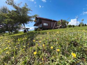 Ảnh trong thư viện ảnh của Căsuța din Deal 