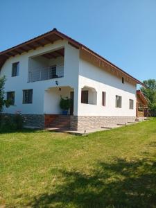 a house with a lawn in front of it at CASA LAVINIA CRASNA GORJ in Crasna