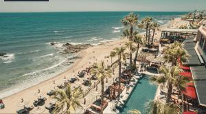 widok z lotu ptaka na plażę z palmami i oceanem w obiekcie Sol y 1ª linea de playa Urbanización Lubina sol w mieście Sitio de Calahonda