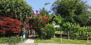 a garden with a bunch of flowers and plants at Vermietung Gisl in Wiesent