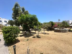 a garden with trees and plants in a yard at Dorkas Luxury Rooms&Apartments in Livadakia