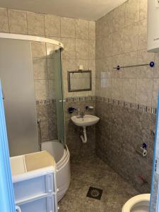 a bathroom with a sink and a shower and a toilet at Apartments Nera in Utjeha +56 photos