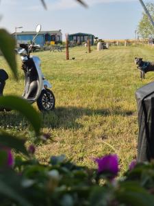 En have udenfor Mar a Lago Glamping23 + 55 billeder