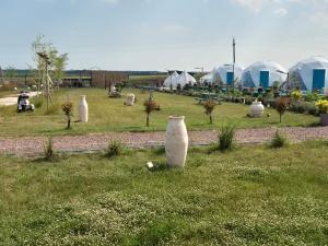 En have udenfor Mar a Lago Glamping23